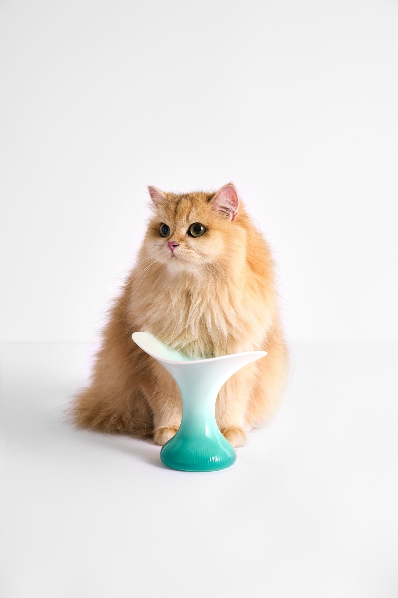 Ceramic Cat Food Bowl Jade Green Elevated Handmade Fluffy Kingdom